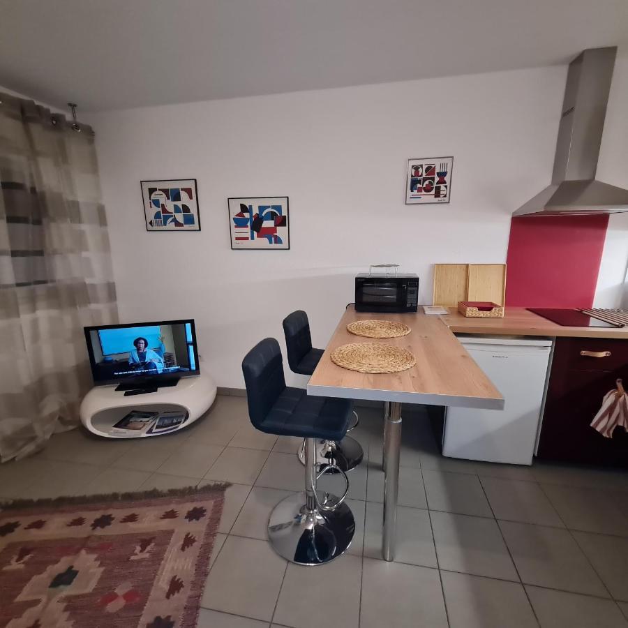 Beau Studio Tout Confort Au Calme Avec Parking . Leilighet Villeurbanne Eksteriør bilde