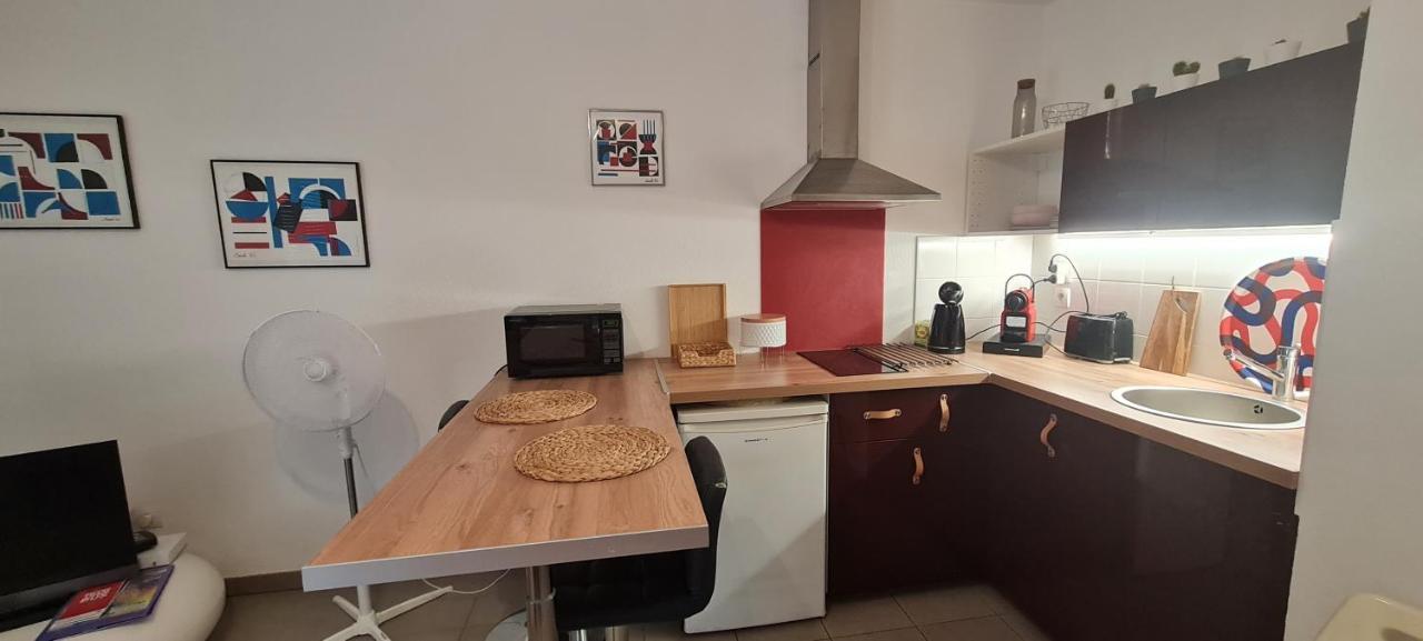 Beau Studio Tout Confort Au Calme Avec Parking . Leilighet Villeurbanne Eksteriør bilde