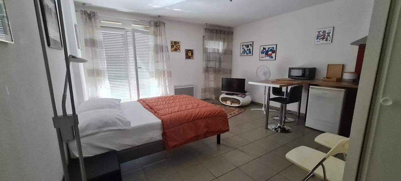 Beau Studio Tout Confort Au Calme Avec Parking . Leilighet Villeurbanne Eksteriør bilde
